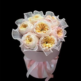 New Garden Roses