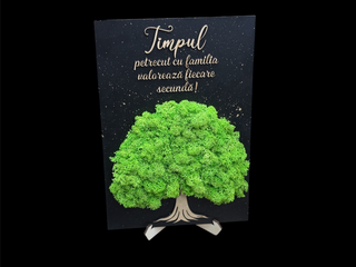Tablou cu licheni Timpul 2