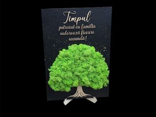 Tablou cu licheni Timpul 2