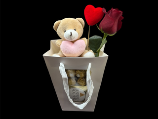 Teddy Gift 1