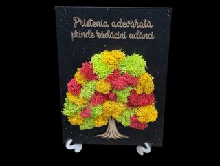 Tablou cu Licheni Prietenia 2