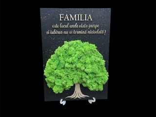 Tablou cu licheni Familia 1