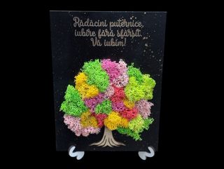 Tablou cu Licheni Radacini