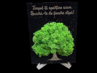 Tablou cu Licheni Timpul 3