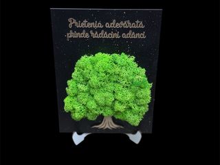 Tablou cu licheni Prietenia