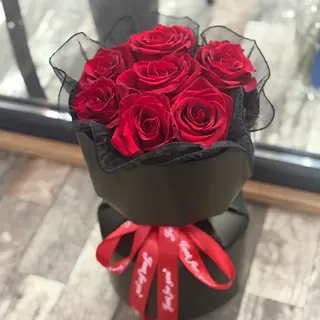 Black&Red New