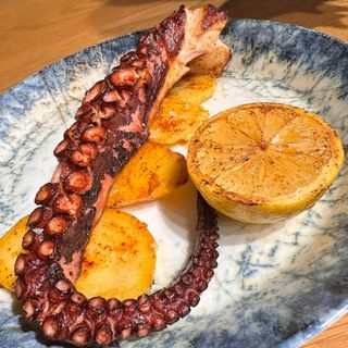 Caracatiță Spania à la Revolución