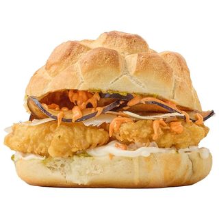 Tartaruga cu cod pane