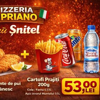 Meniu Șnițel din  PIEPT DE PUI ( 450 G )