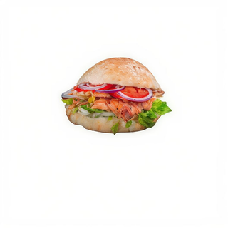 DONER PUI 310 GR