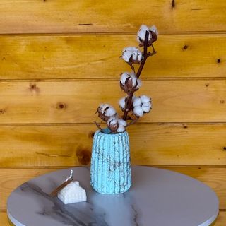 Pure Hamony set (blue)