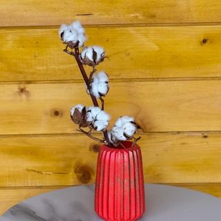 Pure Harmony Set (red)