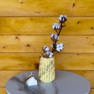 Pure Harmony Set (yellow)