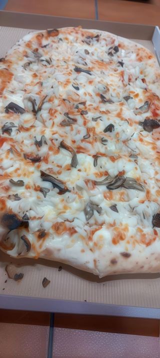 PETTO DI POLLO  Ø 50cm