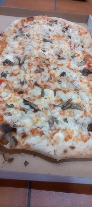 PETTO DI POLLO Ø 30CM