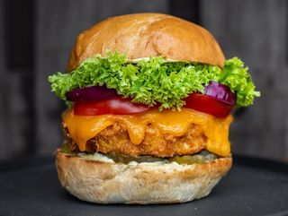 Meniu Burger Pui Crispy