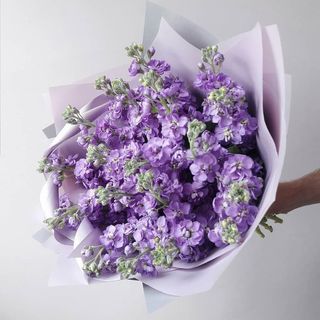 Buchet Obsidian Bloom 