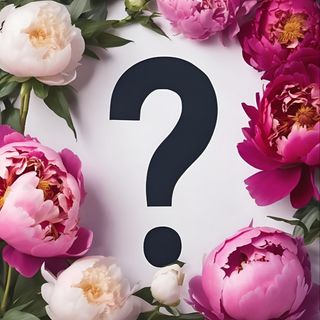 Peony Mystery