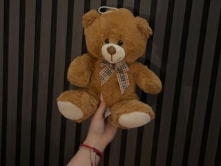 Ursulet de Plus Maro