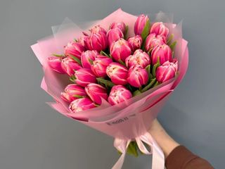 Blissful Tulip Harmony