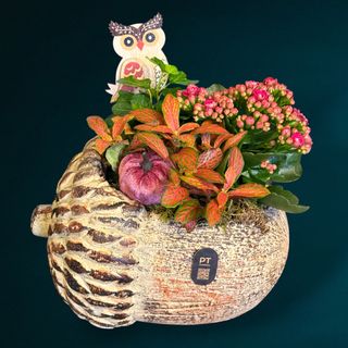 Aranjament de toamna in ghinda ceramica