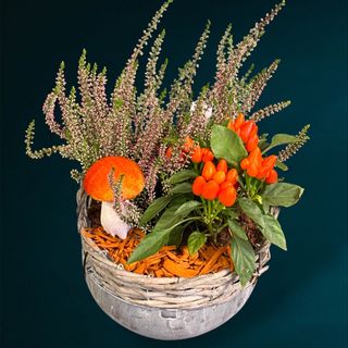 Cos cu plante de toamna