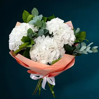 Buchet 3 Hortensii albe