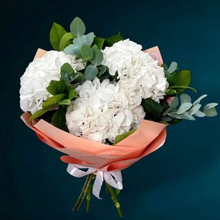 Buchet 3 Hortensii albe