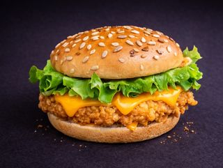 CHICKEN BURGER 205 gr.