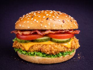 CHICKEN BURGER BBQ 285 gr.