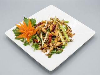 Pui de balta Ganbian