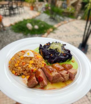 Piept de rata