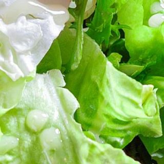 Minisnitel de pui cu piure de cartofi 150g