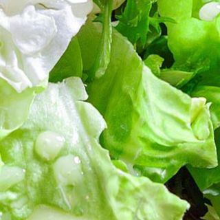 Platou de branzeturi 330g