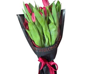 Buchet 11 lalele rosii in con de hartie