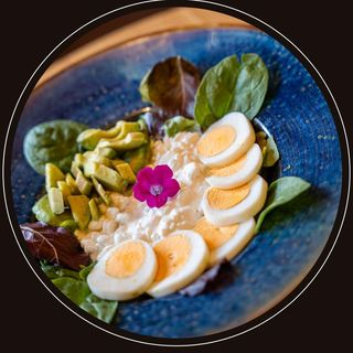 Salata Balance