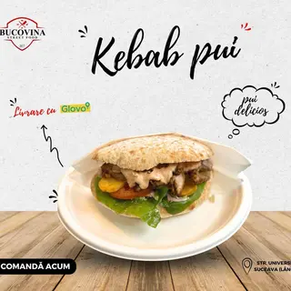 Kebab de pui