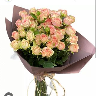 Buchet 7 miniroza pink