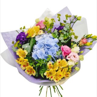 Buchet hortensia blu lisy astro 