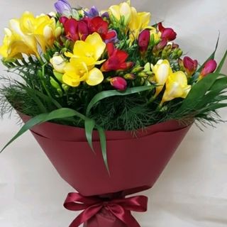 Buchet 17 frezii multicolore