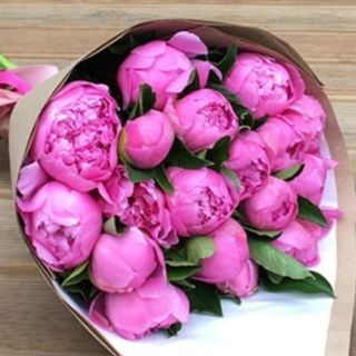 Buchet 15 Bujori pink