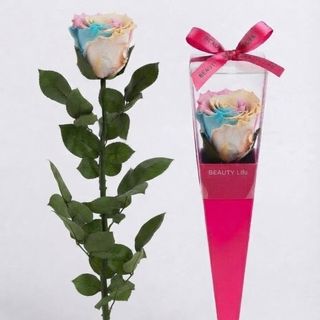Trandafiri criogenat, Pink blu