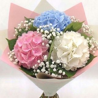 Buchet 3 Hortensia mixt