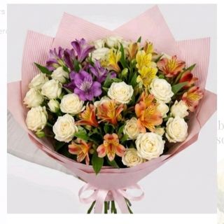 Buchet miniroze pastel & Astro multicolore