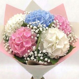 Buchet 5 Hortensia mixt