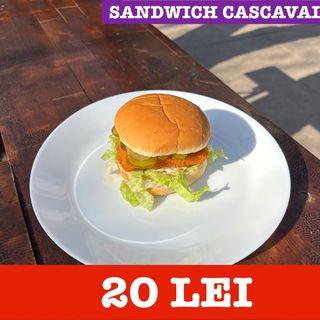 Sandwich Cascaval Pane