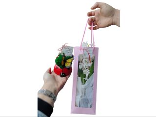 Buburuză Mărțișor + Zambilă color