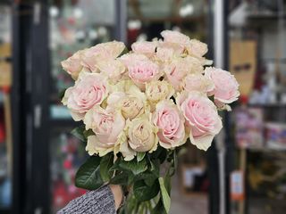 Oferta Buchet 21 trandafiri