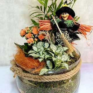 Grădina Vrăjitoarei