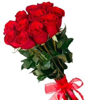 11 tranadifiri rosii